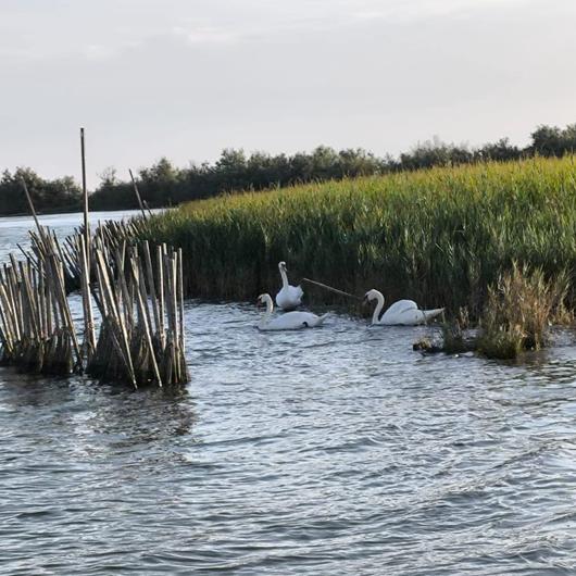 BIKE & BOAT LAGOON EXCLUSIVE 25 APRILE 2026