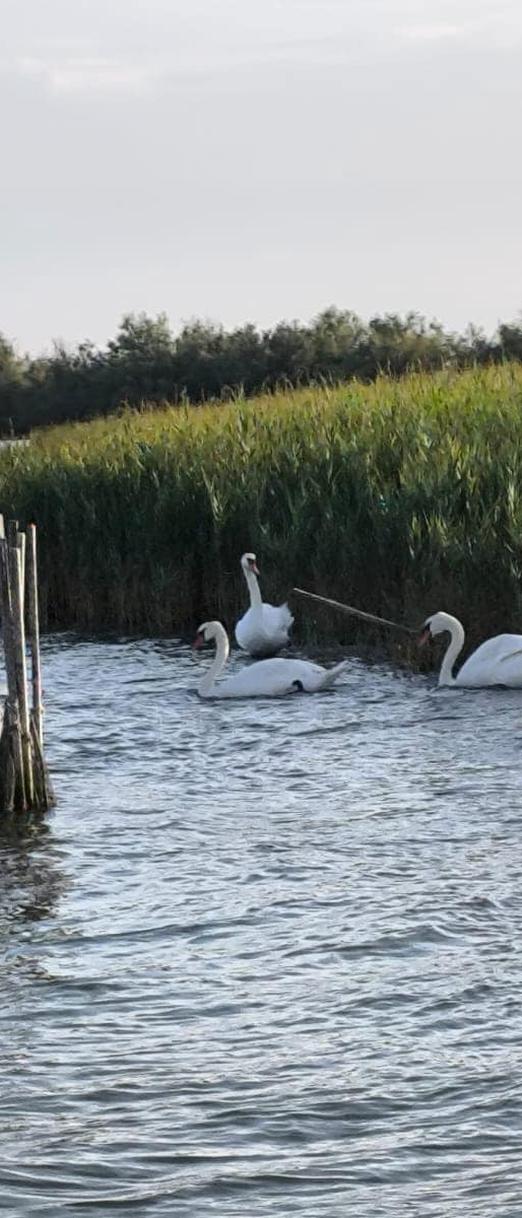 BIKE & BOAT LAGOON EXCLUSIVE 25 APRILE 2026