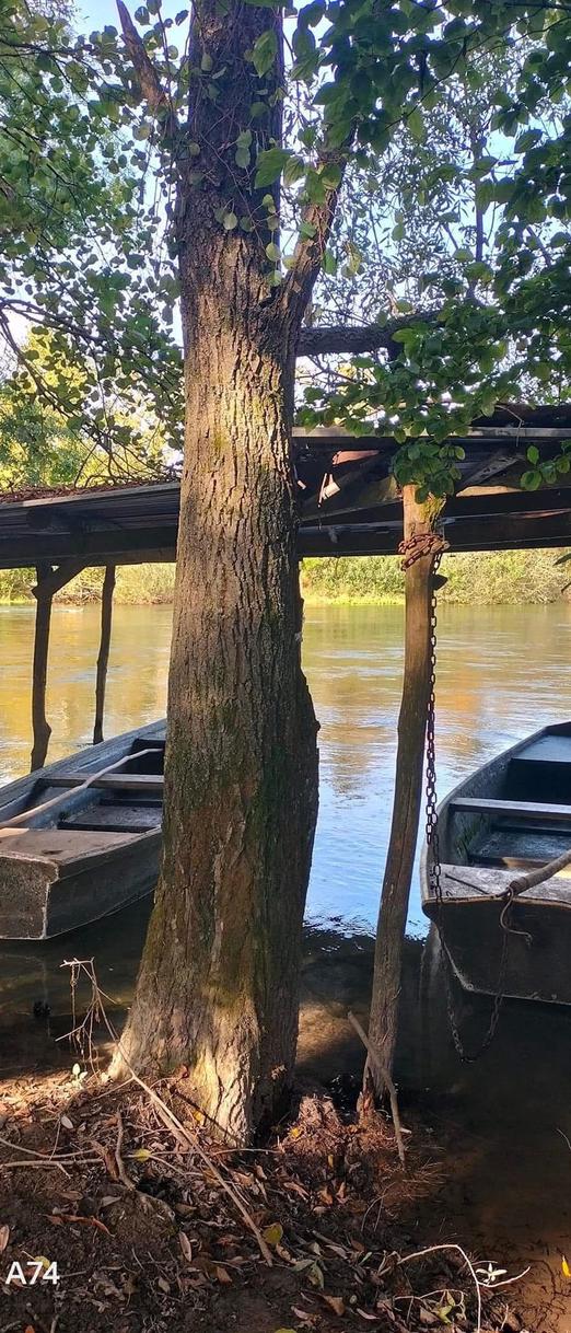 PEDALANDO IL CUORE DELLO STELLA 16 MAGGIO 2026 