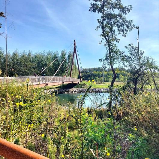 PEDALANDO IL CUORE DELLO STELLA 16 MAGGIO 2026 