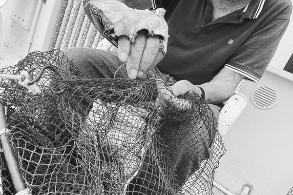 FISH & WINE BIKE PEDALANDO E DEGUSTANDO  11 APRILE 2026