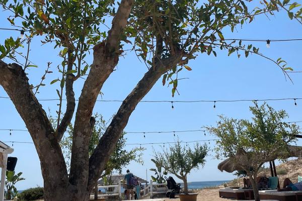 SALENTO COAST TO COAST: BAROCCO & BIKE 2026